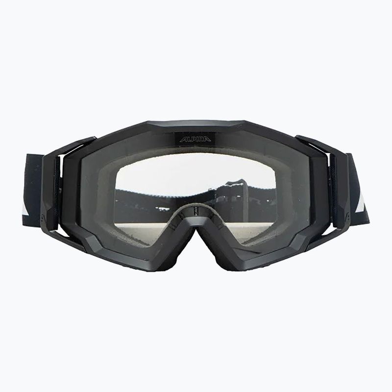Ochelari de soare Alpina 2