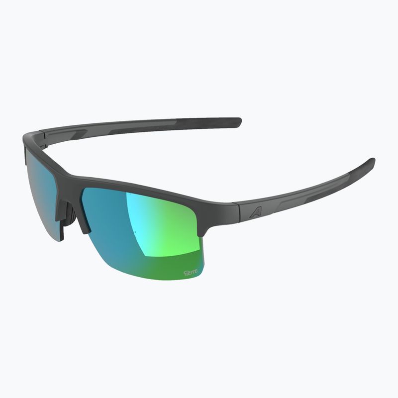 Ochelari de soare Alpina Eagle Q-Lite midnight/grey matt/green