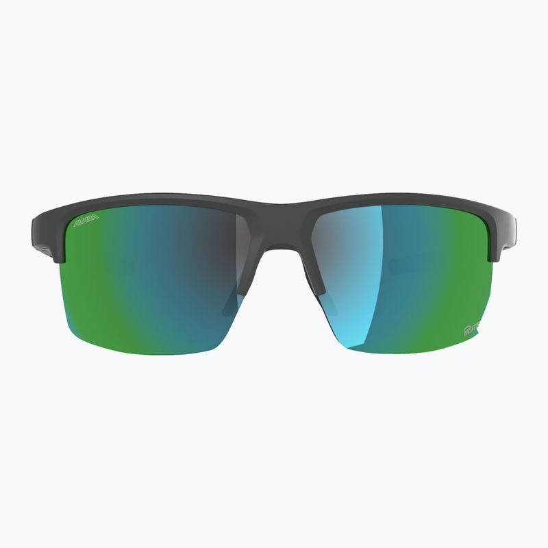Ochelari de soare Alpina Eagle Q-Lite midnight/grey matt/green 2