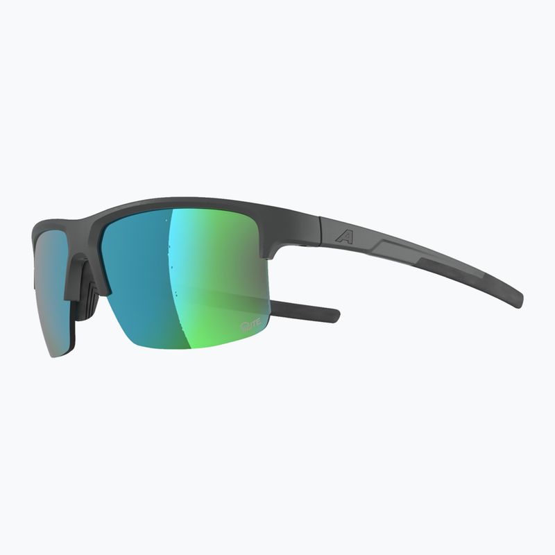 Ochelari de soare Alpina Eagle Q-Lite midnight/grey matt/green 3