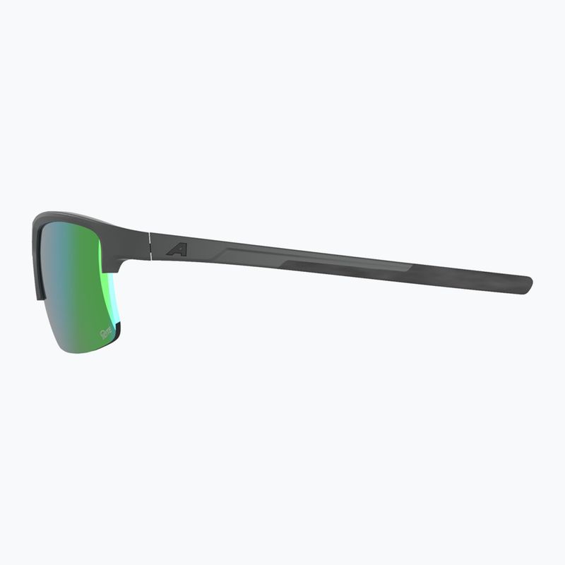 Ochelari de soare Alpina Eagle Q-Lite midnight/grey matt/green 5