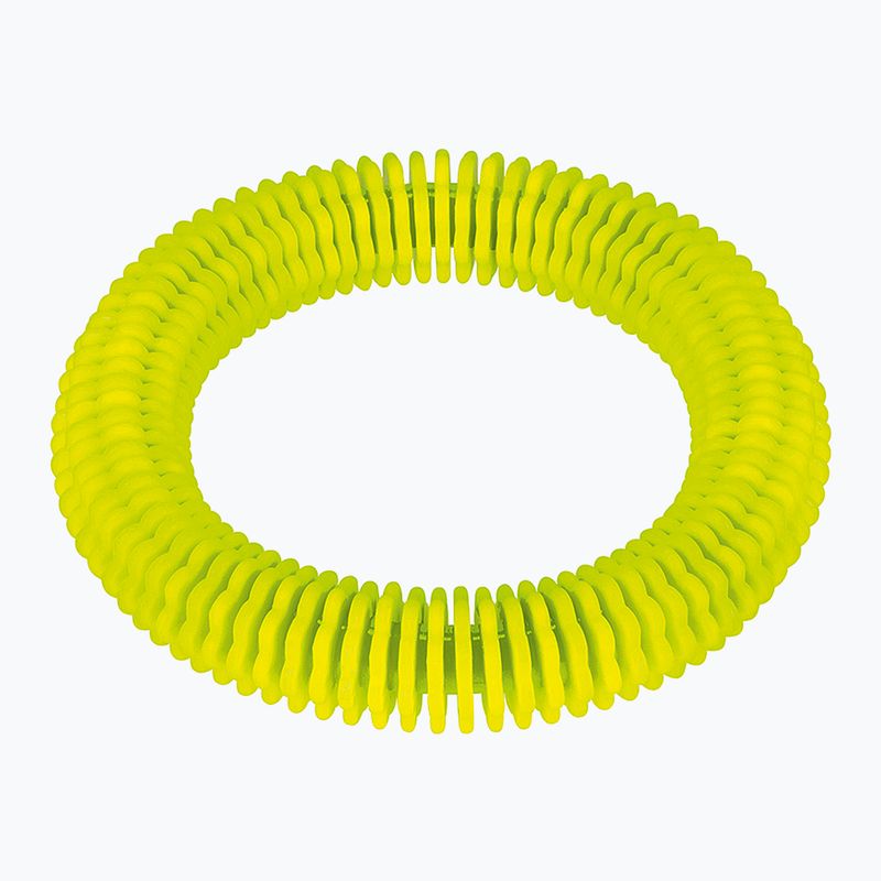 Jucărie pentru scufundări Fashy 4200 inel lamelar neon green
