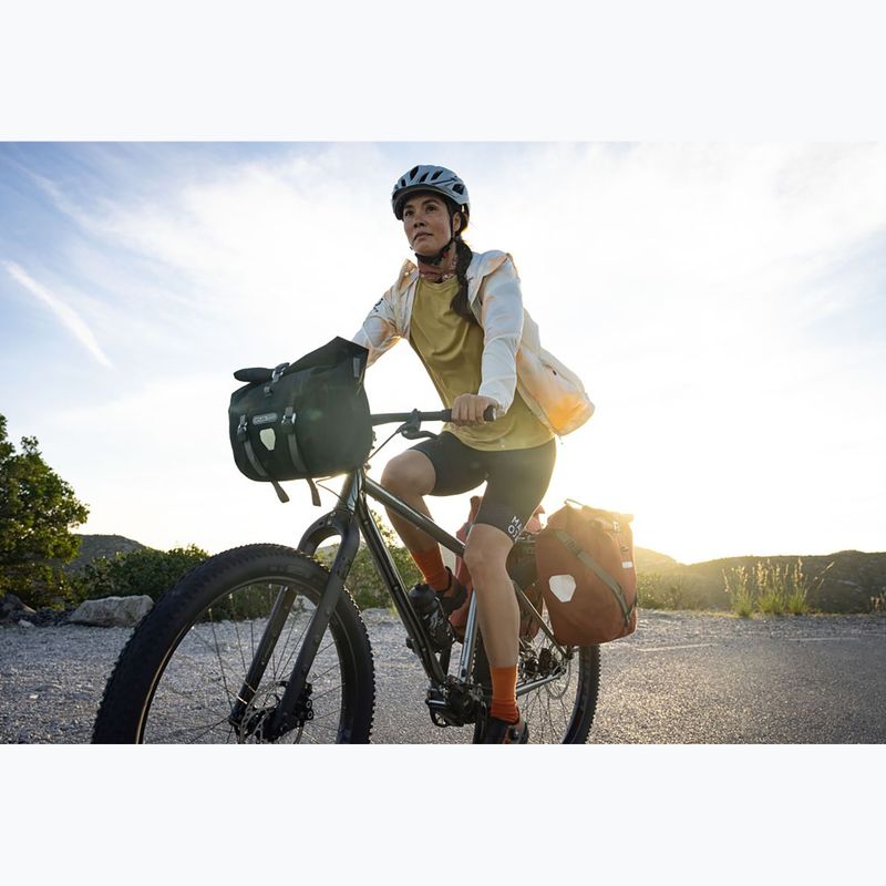 Geantă de bicicletă ORTLIEB Back-Roller Plus QL2.2 20+3 l dark chili 8