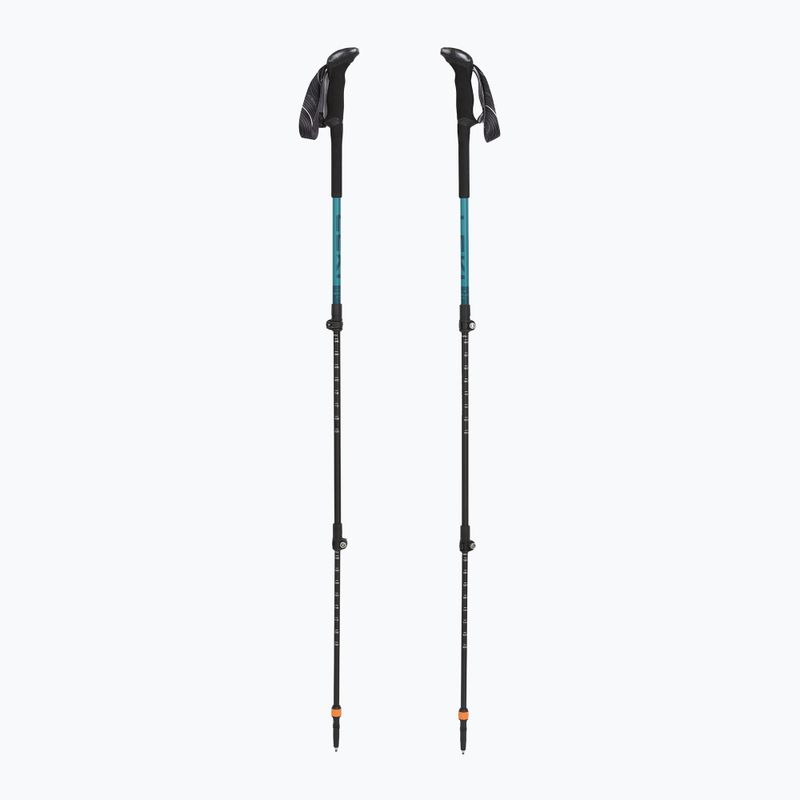 Bețe de trekking LEKI Makalu Lite AS greenblue light/greenblue dark