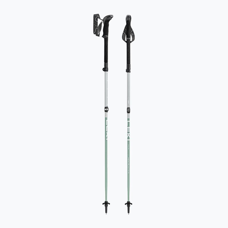 Bețe de trekking LEKI Makalu FX TA silver/greygreen/white