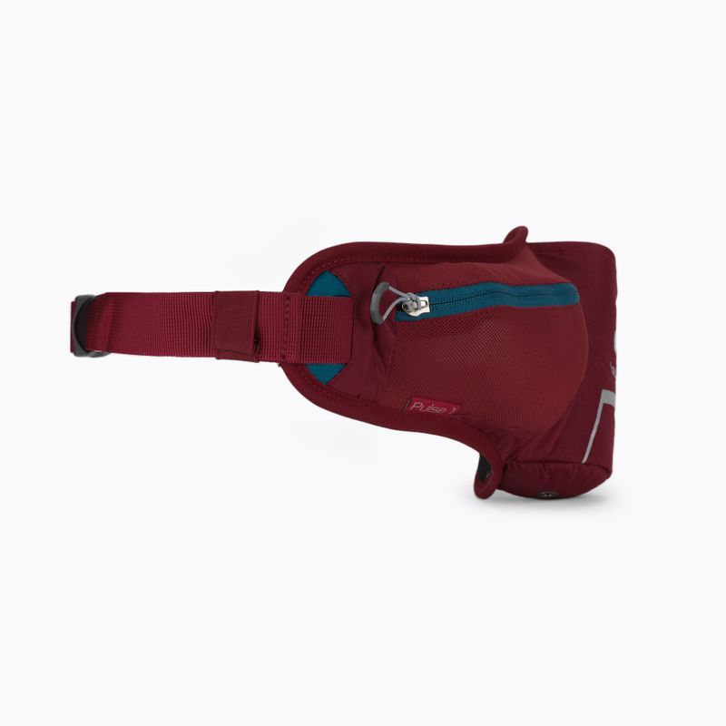 Deuter sac de rinichi Pulse 1 roșu 391012150000 3