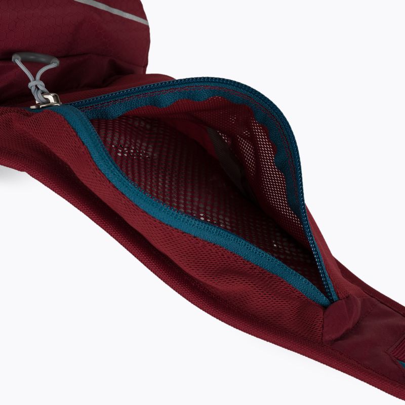 Deuter sac de rinichi Pulse 1 roșu 391012150000 4