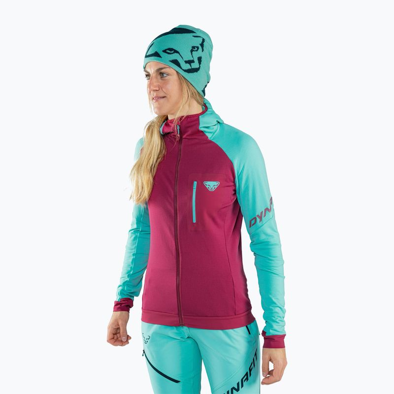 Căciulă de schi de tură DYNAFIT Leopard Logo marine blue