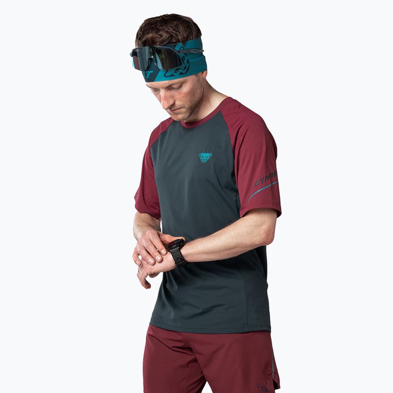 Tricou de alergat pentru bărbați DYNAFIT Alpine Pro blueberry/burgundy