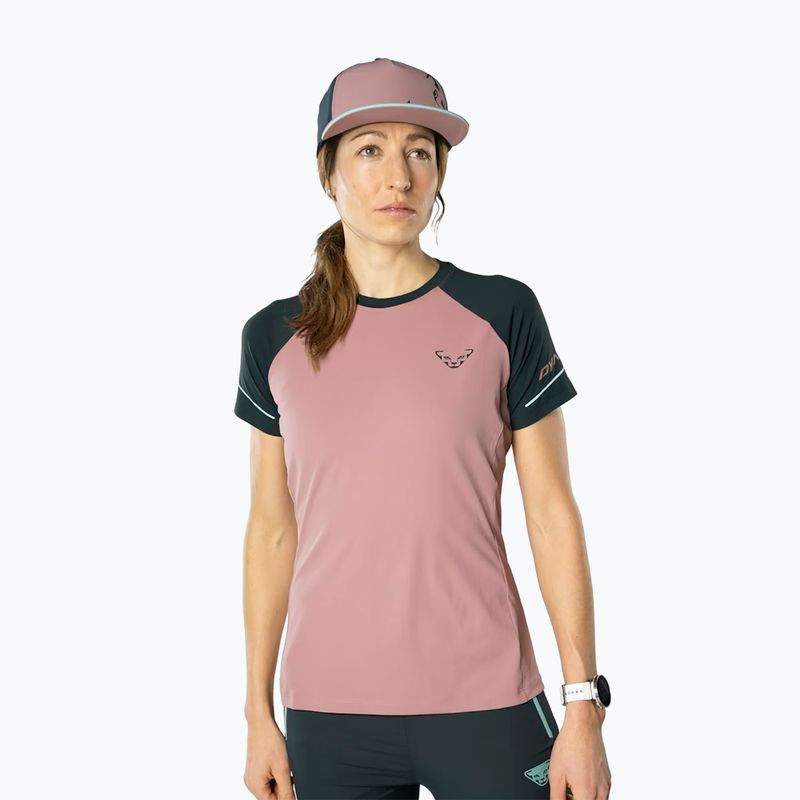 Tricou de alergare pentru femei DYNAFIT Alpine Pro mokarosa