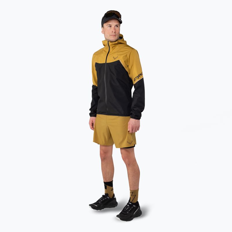 Pantaloni scurți de alergare pentru bărbați DYNAFIT Alpine Pro 2IN1 tabac 2