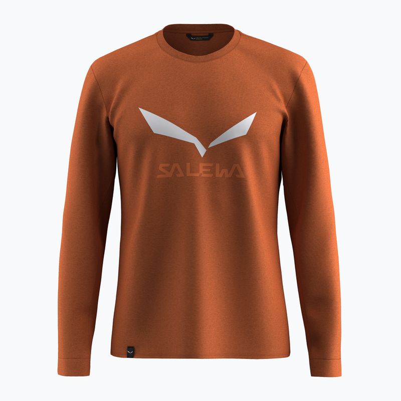 Longsleeve pentru bărbați Salewa Solidlogo Dry bombay brown
