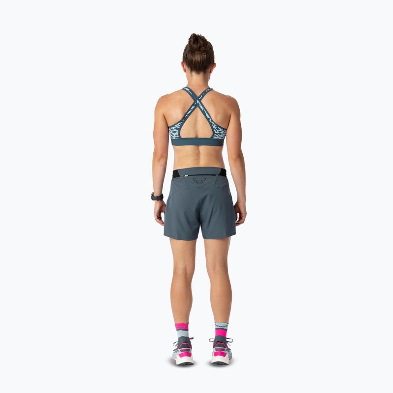 Sutien de antrenament DYNAFIT Alpine Graphic cloud blue 4