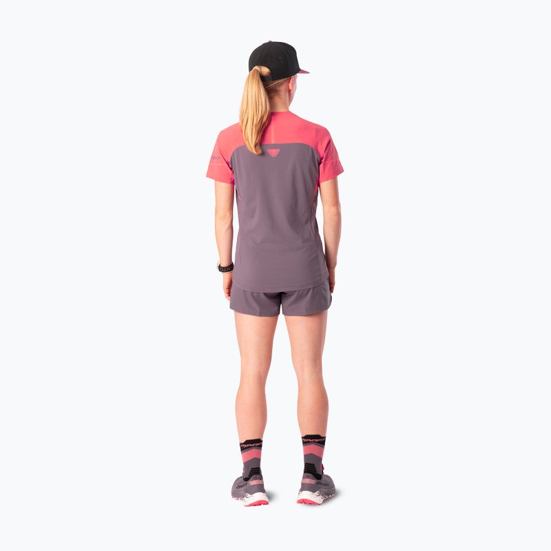 Tricou de alergare pentru femei Dynafit Alpine Pro SS Tee cabana/6A90 2