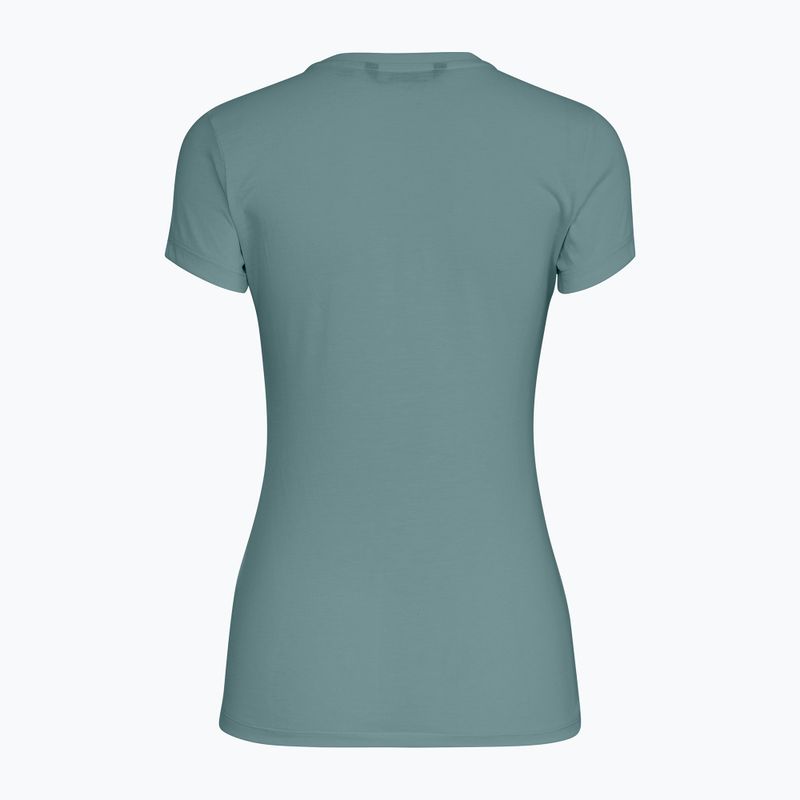Tricou pentru femei Salewa Solid Dry willow 2
