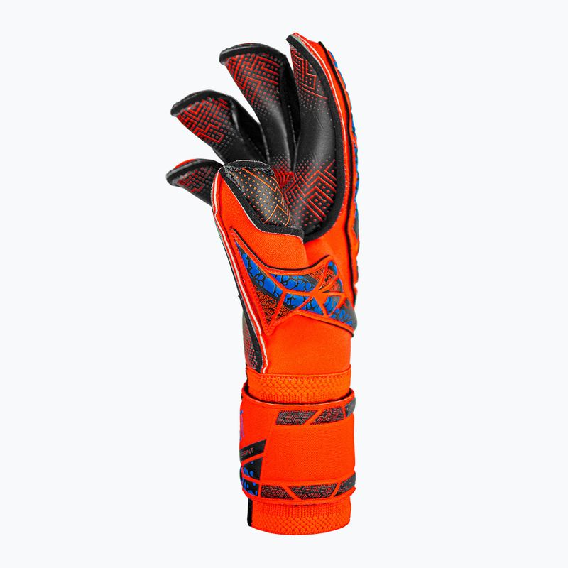 Mănuși de portar Reusch Attrakt Gold X Evolution GluePrint hyper orng/elec blue/blck 4