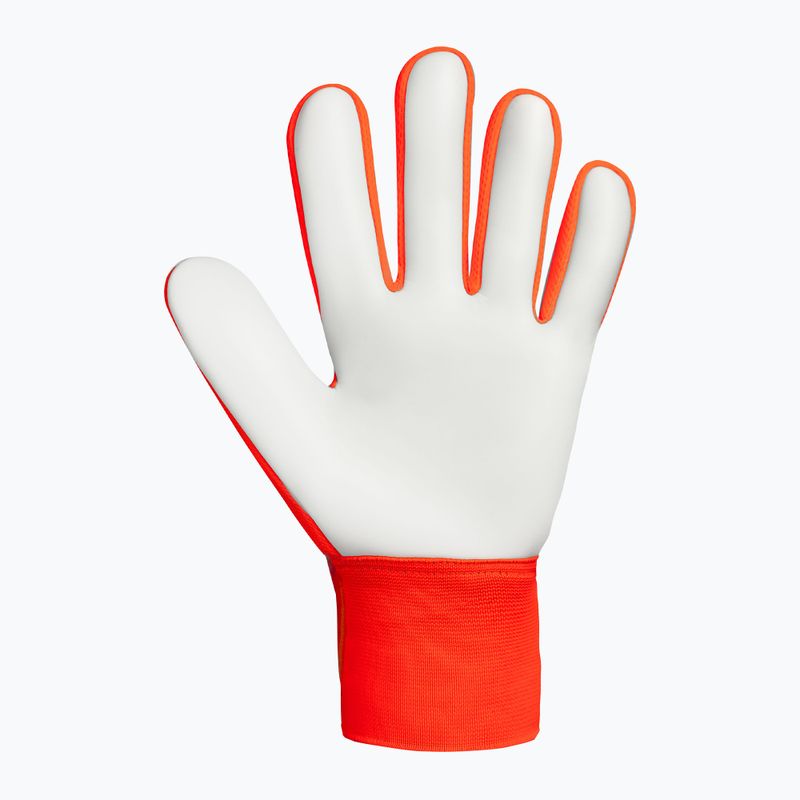 Mănuși de portar Reusch Attrakt Starter Solid shocking orange/blue 3