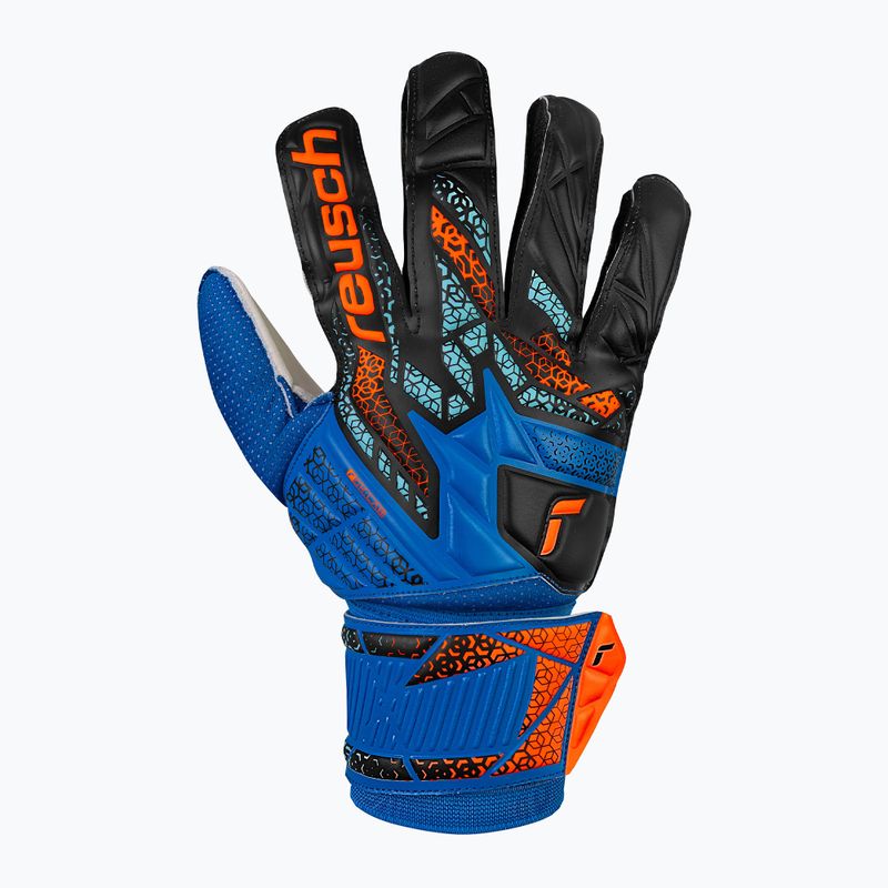 Mănuși de portar Reusch Attrakt Solid electric blue/shocking orange 2