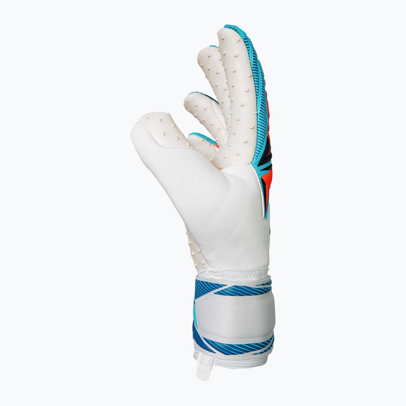 Mănuși de portar Reusch Attrakt SpeedBump white/light blue 4