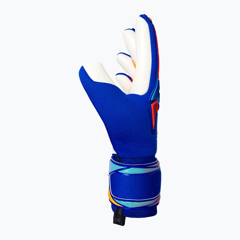 Mănuși de portar Reusch Attrakt Freegel Advance sharp blue/shocking orange 4
