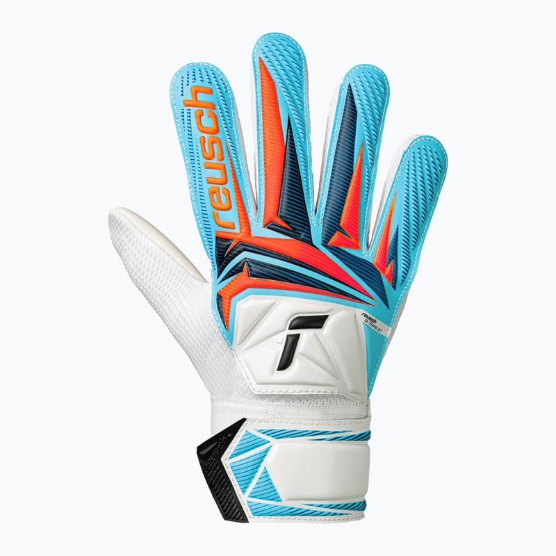 Mănuși de portar pentru copii Reusch Attrakt Starter Solid Junior white/light blue 2