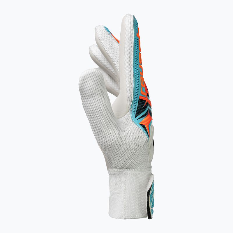 Mănuși de portar pentru copii Reusch Attrakt Starter Solid Junior white/light blue 4