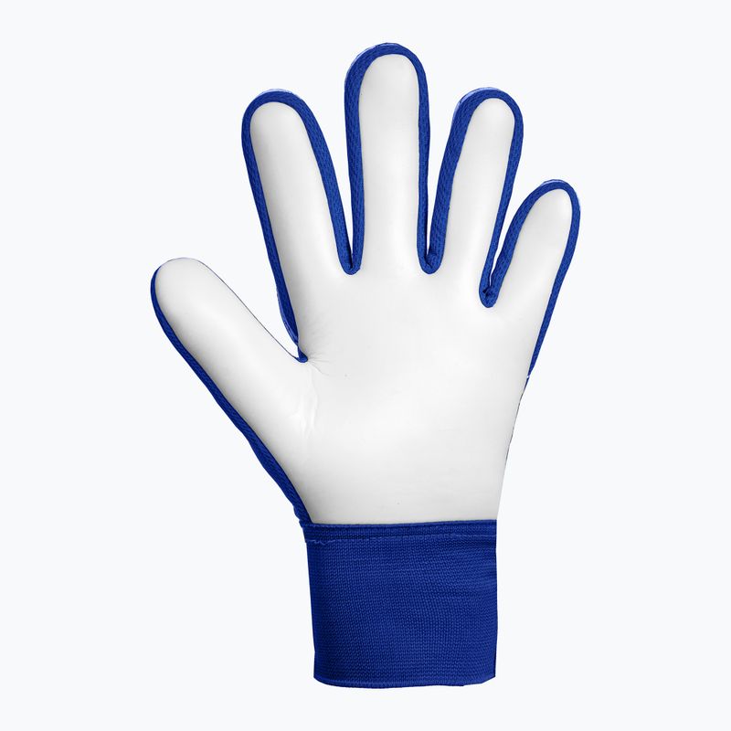 Mănuși de portar pentru copii Reusch Attrakt Starter Solid Junior sharp blue/white/shocking orange 3
