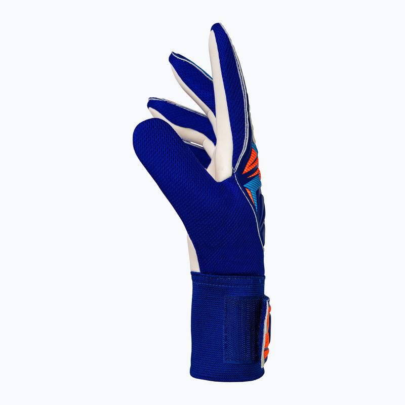 Mănuși de portar Reusch Attrakt Starter Solid sharp blue/white/shocking orange 4