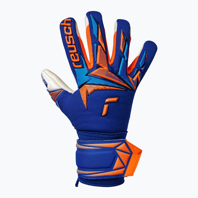 Mănuși de portar pentru copii Reusch Attrakt Freegel Advance Junior sharp blue/shocking orange 2