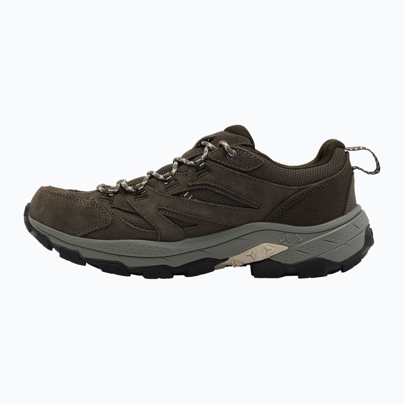 Încălțăminte de trekking Jack Wolfskin Vojo Tour Texapore Low cold coffee 9