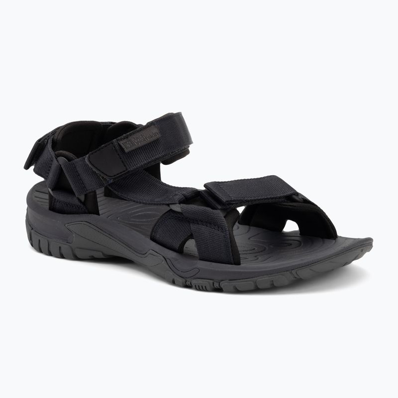 Sandale pentru bărbați Jack Wolfskin Lakewood Ride phantom