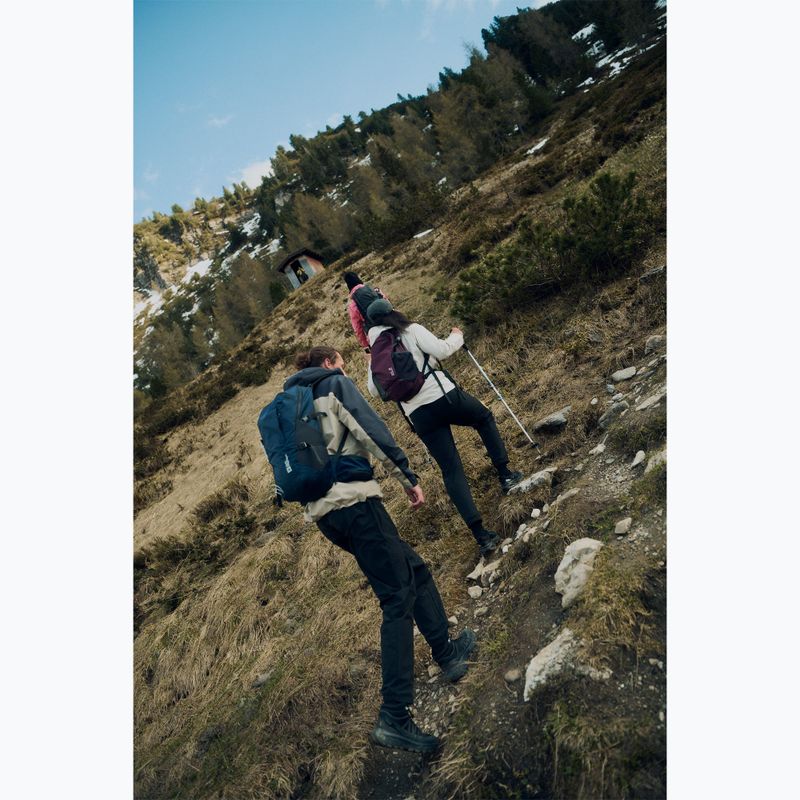 Încălțăminte de drumeție pentru bărbați Jack Wolfskin Wild Hike Texapore Mid black 10