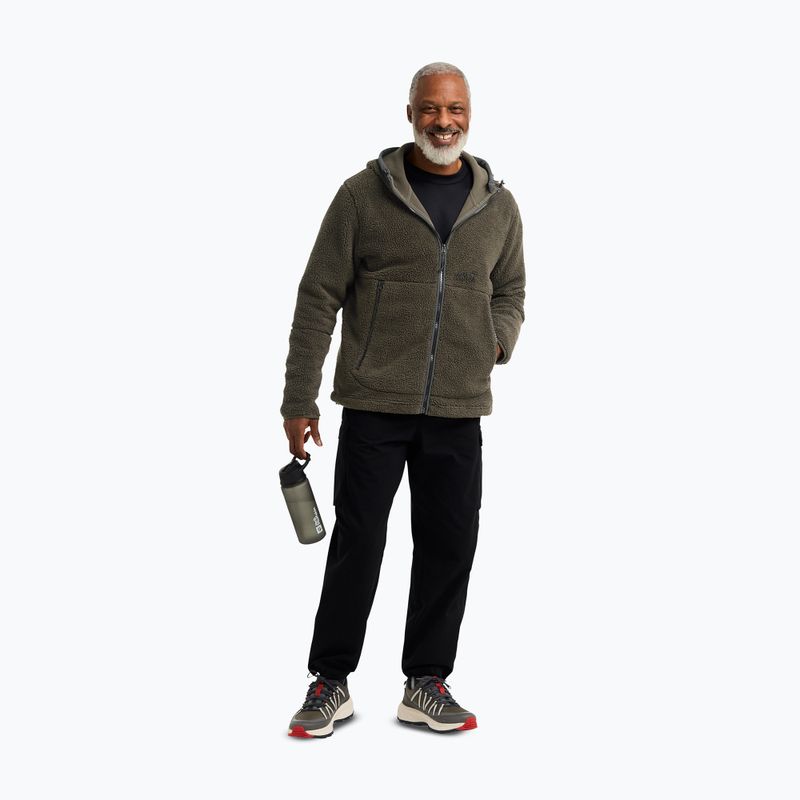 Încălțăminte de drumeție pentru bărbați Jack Wolfskin Wild Hike Texapore Low obsidian moss 5