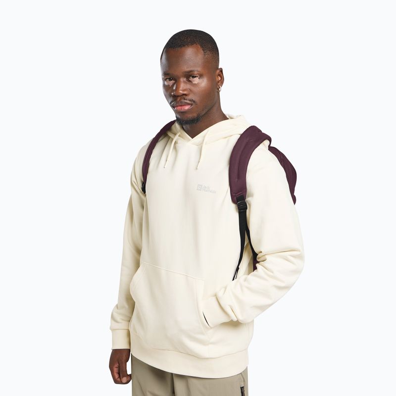 Rucsac de oraș Jack Wolfskin Terraview 20 l amaranth 12