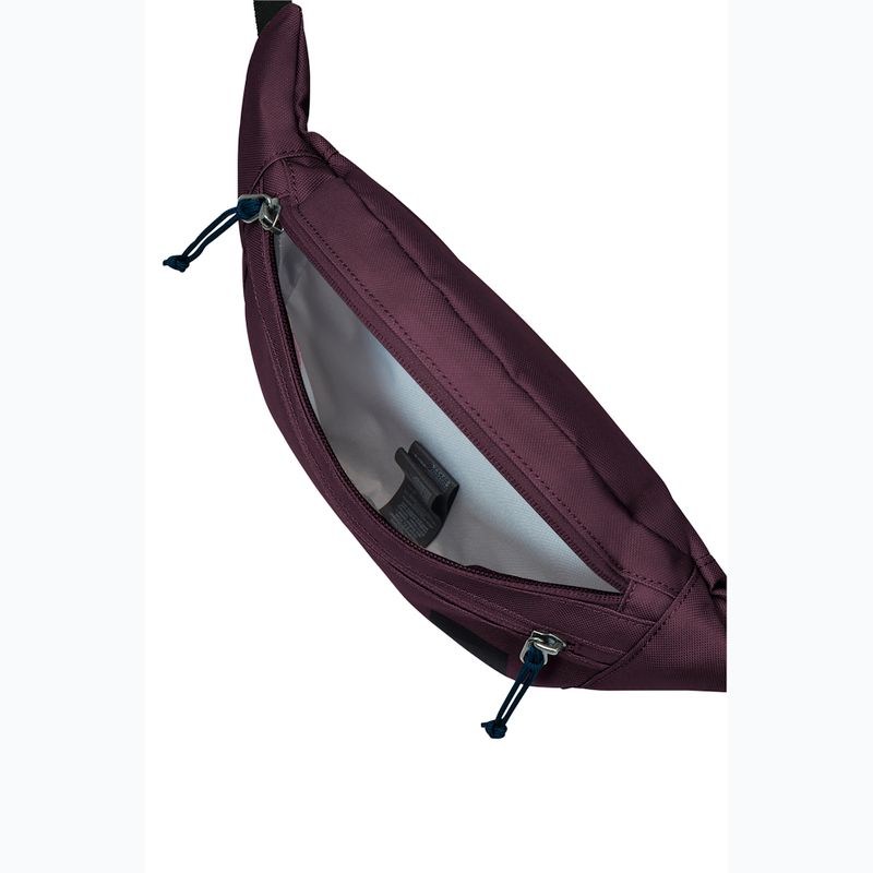 Borsetă Jack Wolfskin Konya Hipbag 2 l amaranth 4