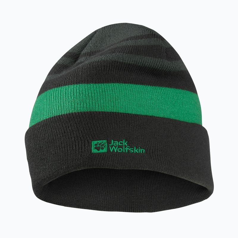 Căciulă de iarnă pentru copii Jack Wolfskin Stripy Knit slate green/mystic