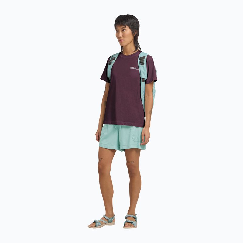 Tricou damă Jack Wolfskin Essential amaranth 2