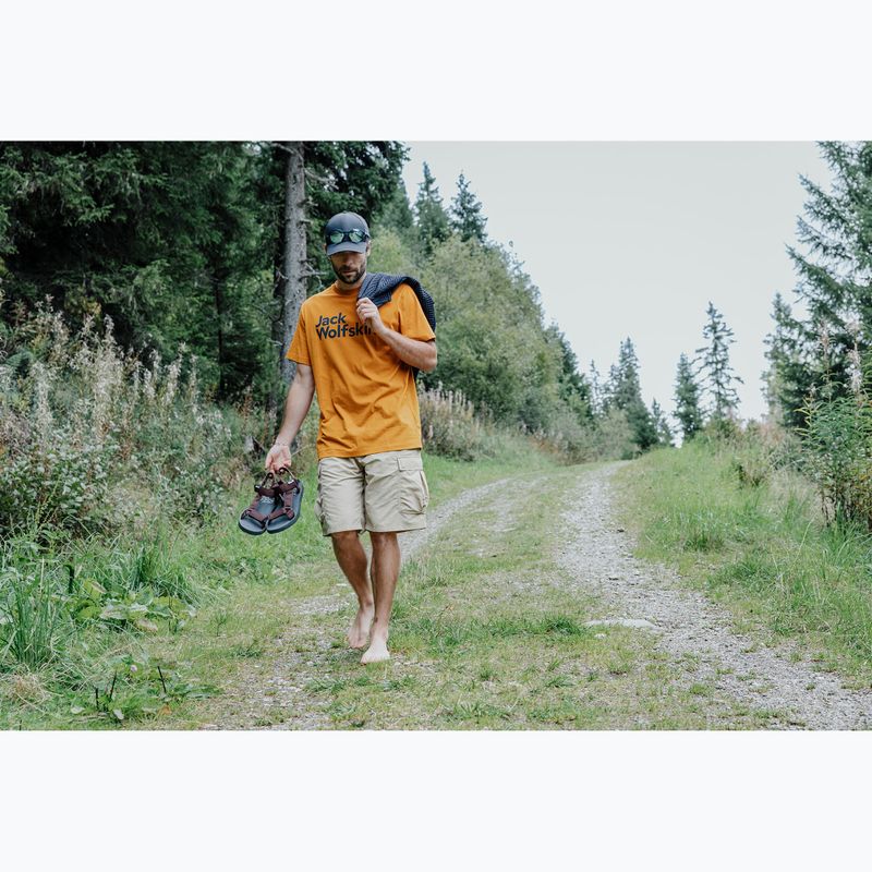 Sandale bărbătești Jack Wolfskin Taiga dark mahogany 7