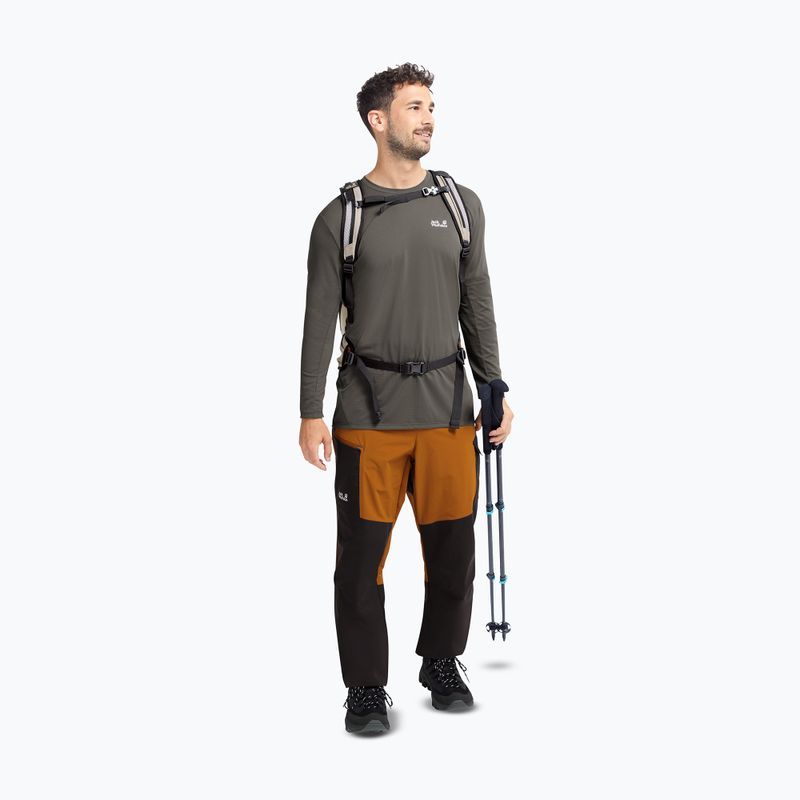 Încălțăminte de trekking pentru bărbați Jack Wolfskin Apex Hike Texapore Low black 7