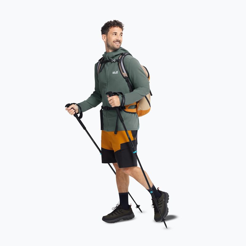 Încălțăminte de trekking pentru bărbați Jack Wolfskin Apex Hike Texapore Low obsidian moss 7