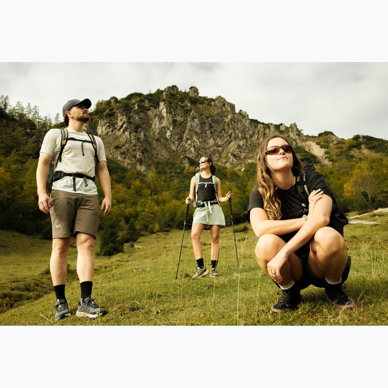 Rucsac de turism Jack Wolfskin Astro Vent 30 l hazel wood 20