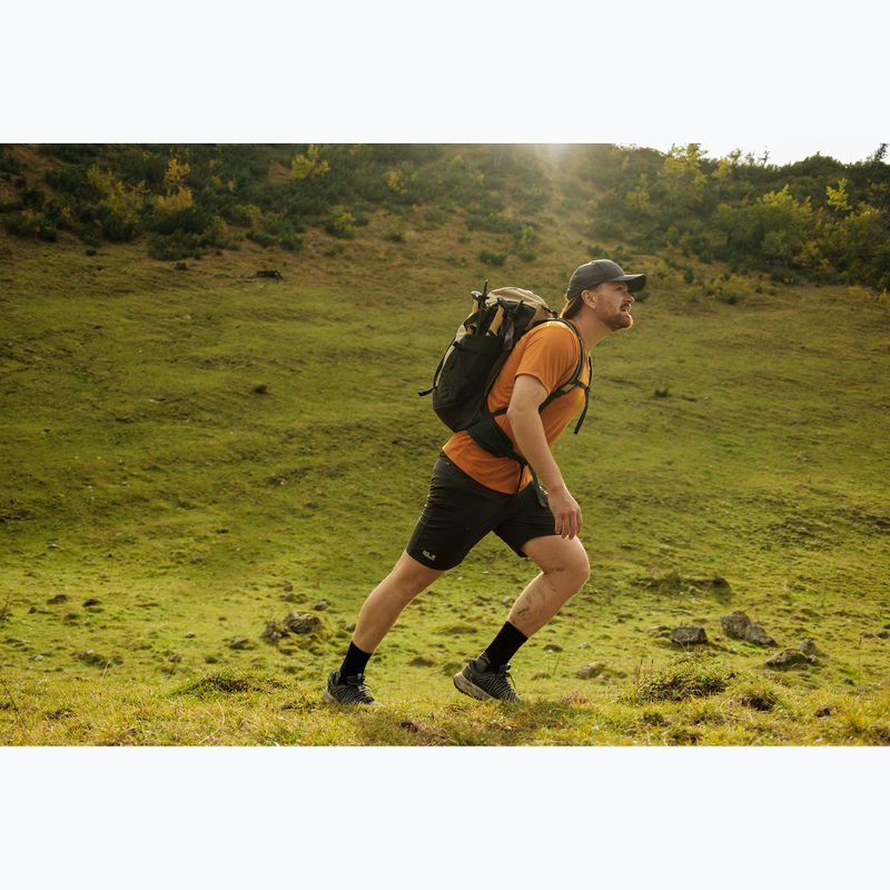 Rucsac de turism Jack Wolfskin Astro Vent 30 l hazel wood 21