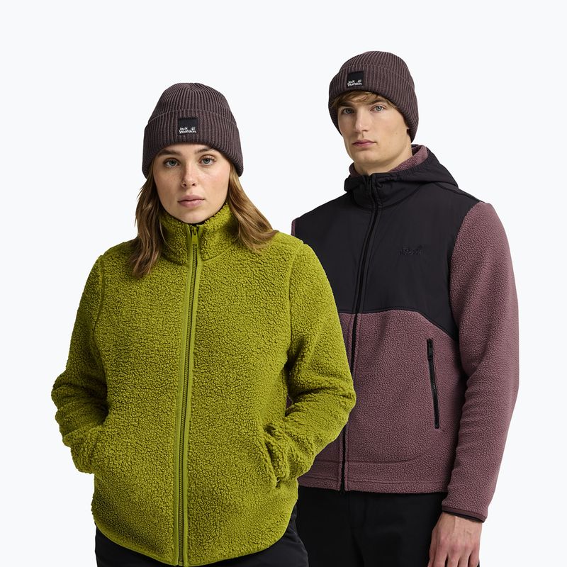 Căciulă de iarnă Jack Wolfskin Pergamon Beanie sheer plum 4