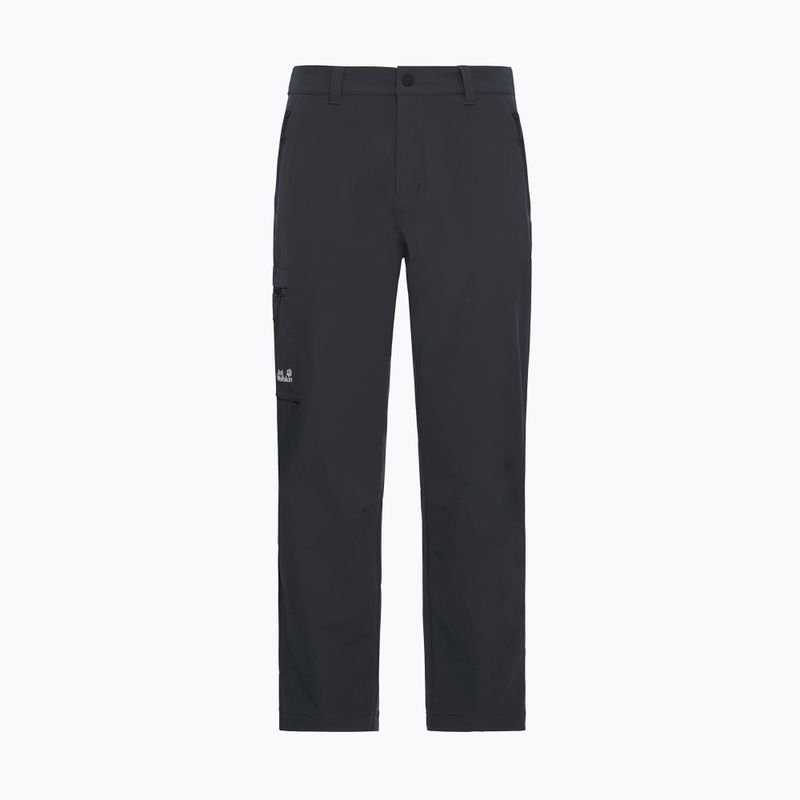 Pantaloni de trekking pentru bărbați Jack Wolfskin Activate Flex phantom 7
