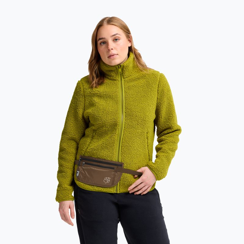 Borsetă Jack Wolfskin Document Belt De Luxe fawn 7