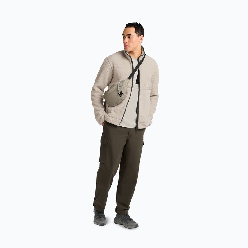 Bluză fleece pentru bărbați Jack Wolfskin Stone Lite oyster 2