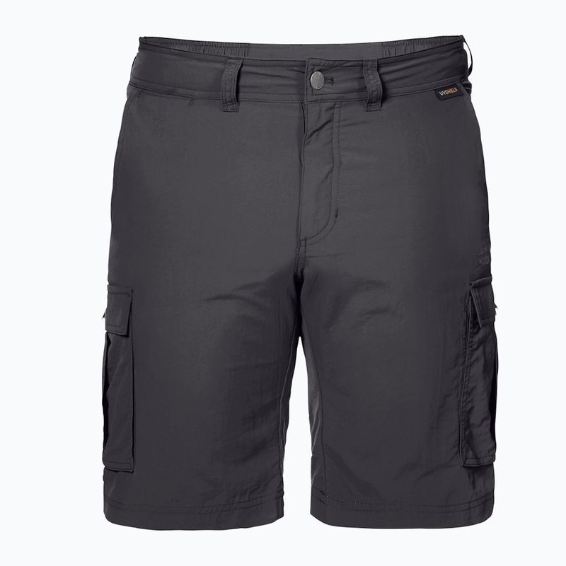 Pantaloni scurți de drumeție pentru bărbați Jack Wolfskin Canyon Cargo gri 1504201_6168_046 5