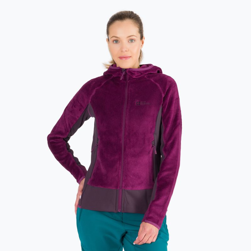 Jack Wolfskin femeii Rotwand Hanorac cu glugă Hanorac cu glugă din fleece violet 1710741