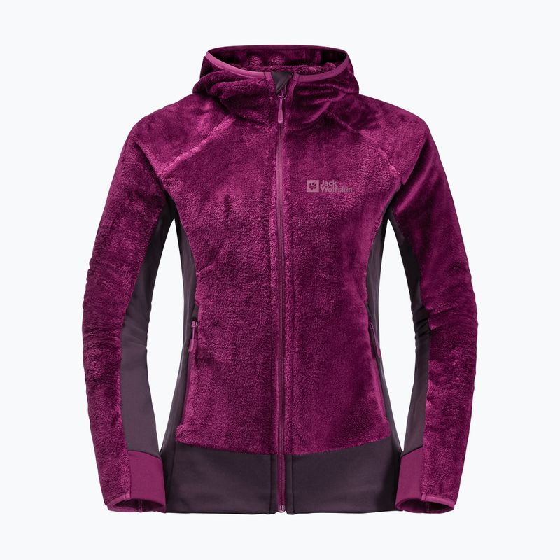 Jack Wolfskin femeii Rotwand Hanorac cu glugă Hanorac cu glugă din fleece violet 1710741 8