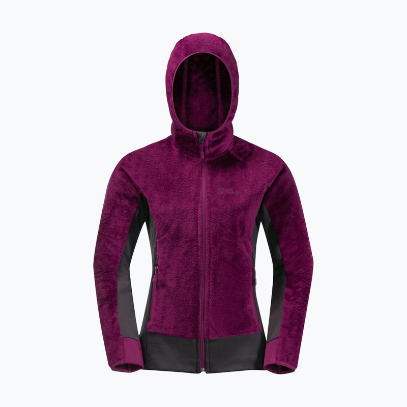 Jack Wolfskin femeii Rotwand Hanorac cu glugă Hanorac cu glugă din fleece violet 1710741 9